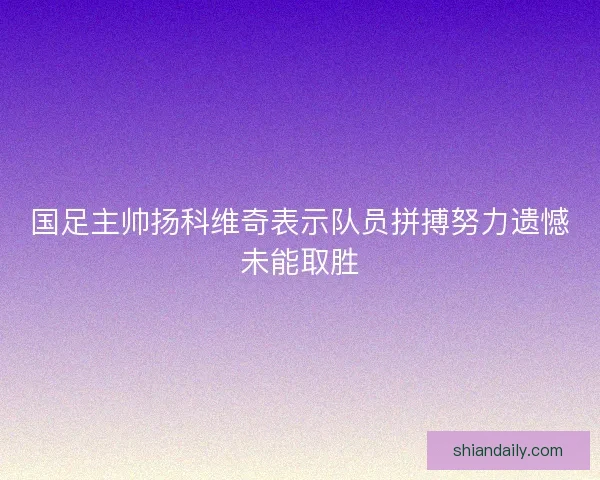 国足主帅扬科维奇表示队员拼搏努力遗憾未能取胜 国足主帅扬科维奇表示队员拼搏努力遗憾未能取胜
